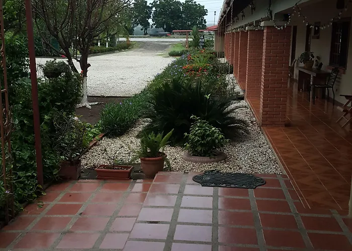 Hotel La Arena 3*
